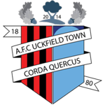 AFC Uckfield Town badge