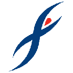 British Airways badge