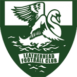 Leatherhead Youth badge