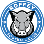 Roffey U18 badge
