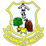 Wadhurst United badge